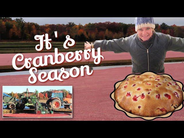 Everything CRANBERRY: From Harvest to Delicious Desserts