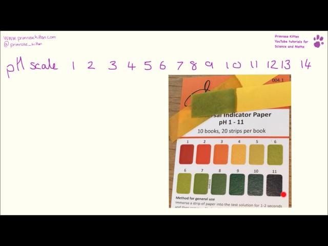 Acid and alkali ions, the neutralization equation and the pH scale