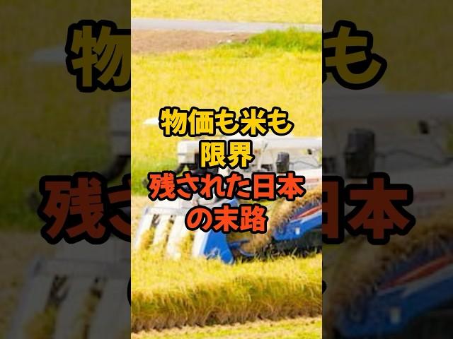 Who is the real culprit behind the rice shortage? #Peasant revolts #Ministry of Agriculture, Fore...