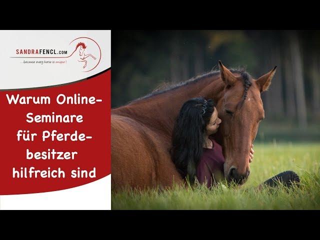 Warum Onlineseminare für Pferdebesitzer sehr hilfreich sind :)