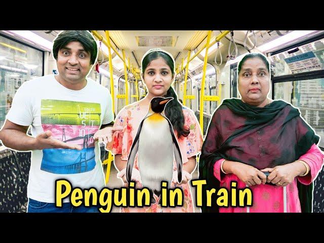 Penguin in Train   | comedy video | funny video | Prabhu Sarala lifestyle