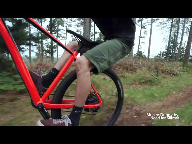 Cannondale Trail: Level Up