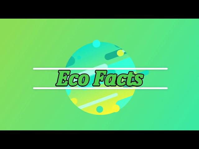 Eco Facts