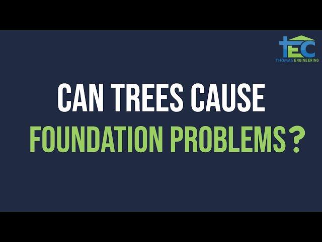 Can Trees Affect Home Foundation - Foundation Engineer Dallas Fort Worth Arlington