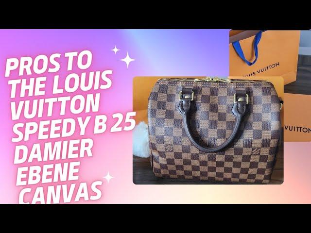 Pros To The Louis Vuitton Speedy B 25 Damier Ebene Canvas