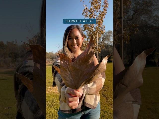 Fall Pose Ideas