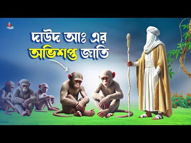 আল্লাহর গজবে বনি ঈসরাইলেরা যেভাবে বানরে পরিনত হয়েছিল | Story of Prophet Dawood (AS) and Bani Israel