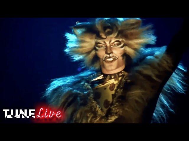 Mr. Mistoffelees | Cats (1999) | Andrew Lloyd Webber | TUNE: Live