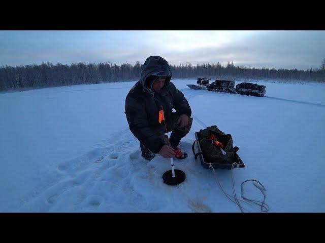 ВЗЯЛ ВСЁ САМОЕ НЕОБХОДИМОЕ И УЕХАЛ ОДИН В ТАЙГУ! РЫБАЛКА НА ЩУКУ В МОРОЗ \ ЖЕРЛИЦЫ КЛАССА ЛЮКС Ч.1