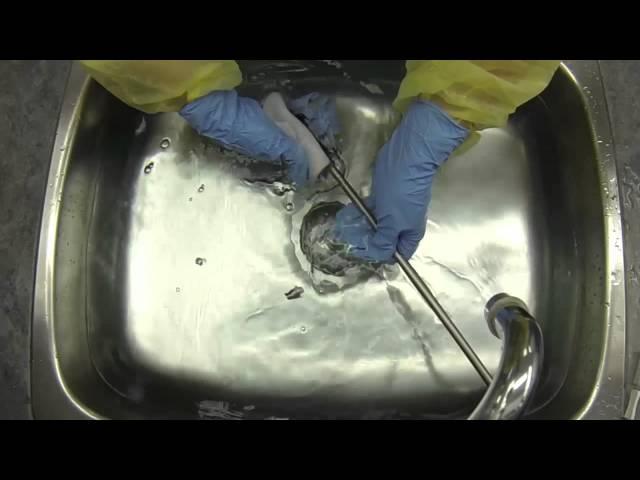 Rigid Endoscope Reprocessing - Cleaning & Rinsing