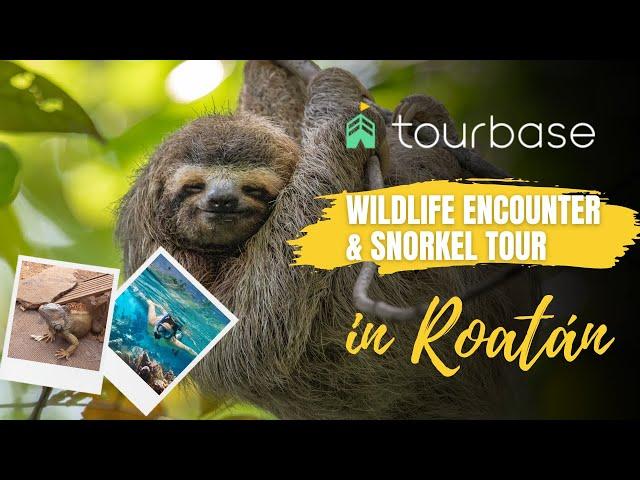 Roatan Tourbase - Wildlife Encounter & Snorkel Combo Tour