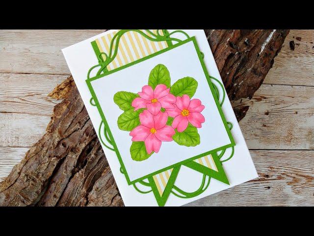 Colouring my Primula digi image from Ruth Hamilton Design with Tonic Studios Alcohol Markers