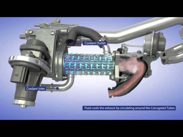 BorgWarner EGR System for Passenger Vehicle Applications