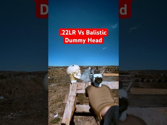 Is .22 LR Deadly? (Ballistic Dummy Test) #gun #civtac #handgun