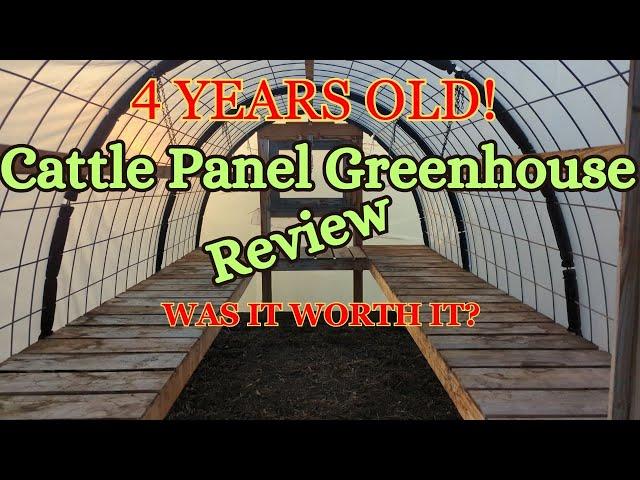 Cattle Panel Greenhouse Review | Four Years Old | Surprising Results