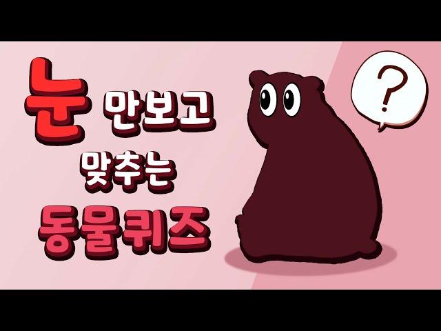 【퀴즈】 눈만 보고 어떤 동물인지 맞추기 | 모하나의 동물 퀴즈게임