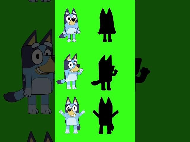 bluey shadow #shorts #animation #challenge #animation #bluey #fun