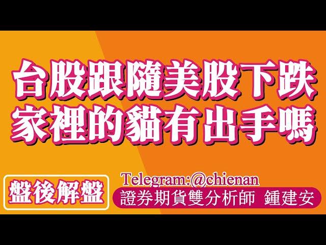 20241219【台股跟隨美股下跌家裡的貓有出手嗎】鍾建安盤後解盤