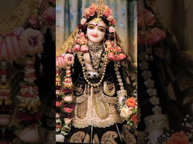 Radha Rani #radharani #radhakrishna #radheradhe #radha #shortsfeed #shorts #bhakti