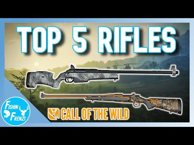 Top Five BEST Rifles In theHunter - Call of the Wild