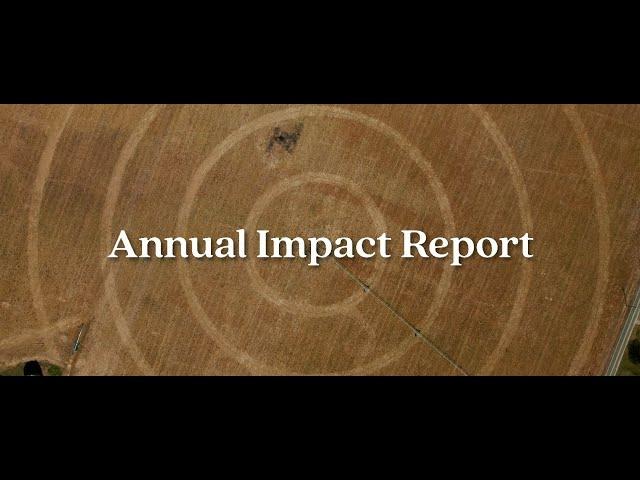 2025 Annual Impact Report