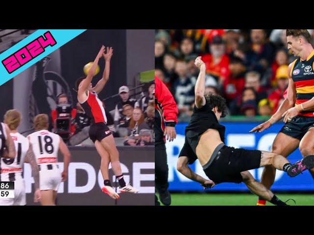 AFL FUNNY MOMENTS 2024