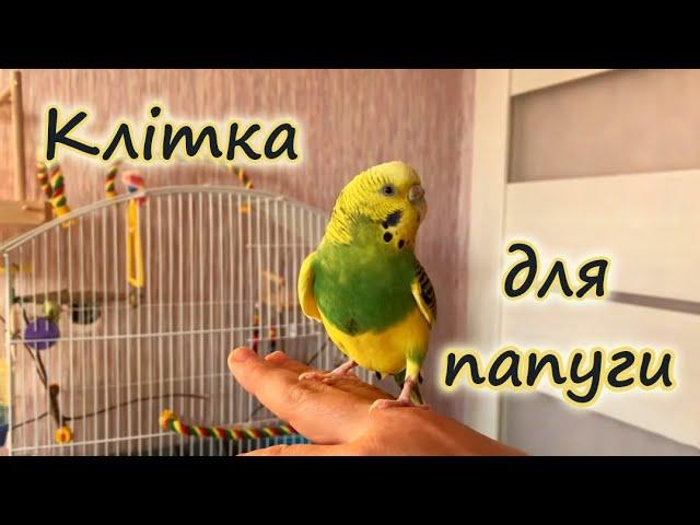 Cage for budgerigar, amadina. How to choose?