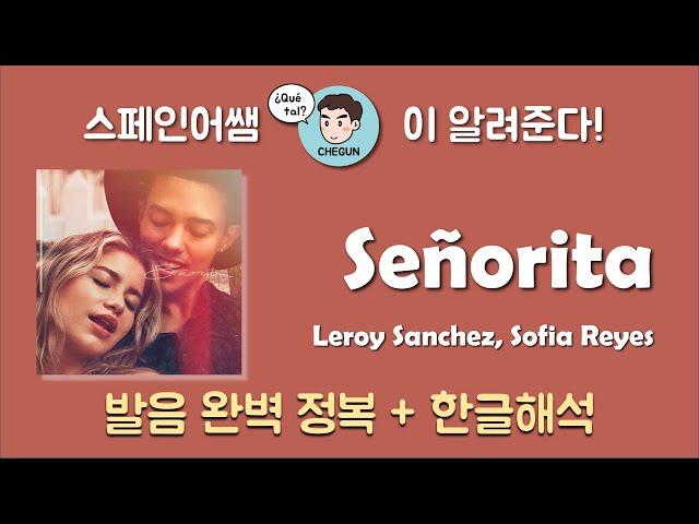 [스페인어노래/요청곡] 세뇨리따 (Señorita) 스페인어 버전 가사 해석 + 발음 완벽정복