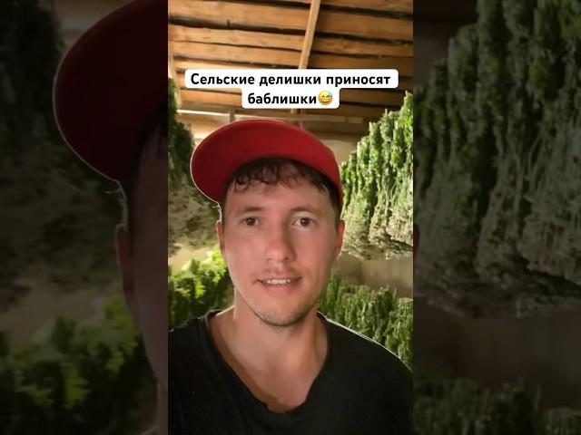 Сельские делишки приносят баблишки Собираем ромашку #villagelife #дача#village#деревня#травы