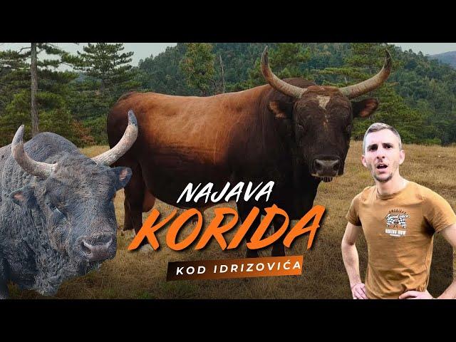 Braća Idrizović spremni čekaju Koridu u Mrljevićima