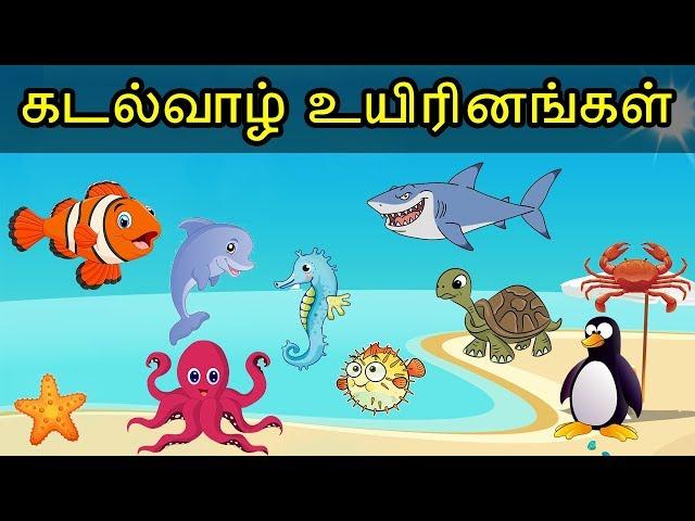 கடல்வாழ் உயிரினங்கள் - Sea Animals Name Tamil - KidsTv Sirukathaigal