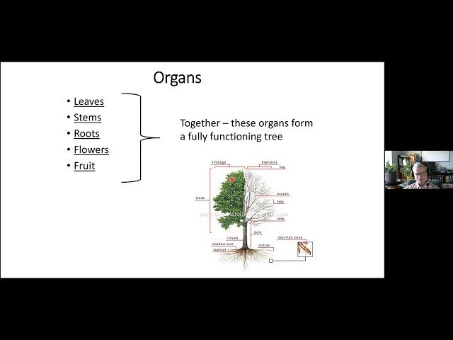 2022: ISA Certified Arborist® Exam Review Course. Rob Swanson, Kay Evanovich, January 2022