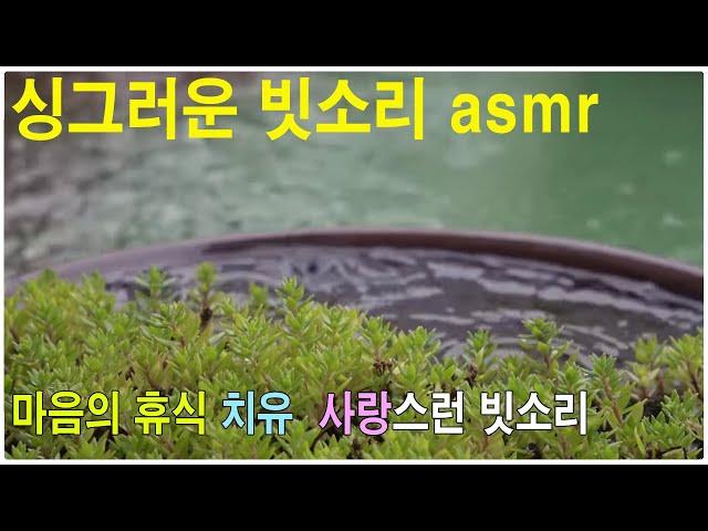 The refreshing sound of rain that brings healing and relaxation asmr