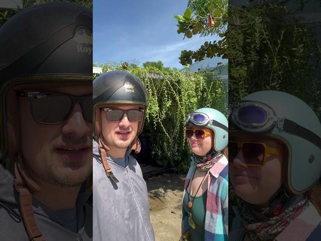 По дороге в Мишон ( My Son )