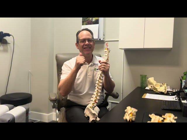 Hey Doc! Is this just a muscle? : Wilbeck Chiropractic