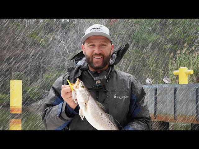 Bad Weather Brings Big Bites