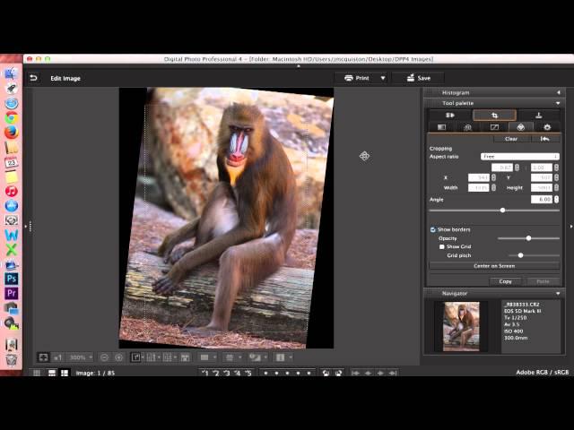 Digital Photo Professional (DPP) 4: Editing Images