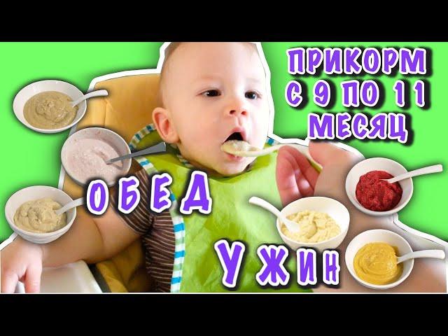 Как Приготовить Прикорм/Рецепты Прикорма Для Малыша/Меню Прикорма В 9-11 Месяцев/Питание До Года