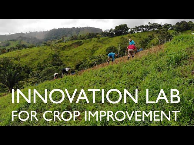 Centro de Innovación para el Mejoramiento de Cultivos - CACCIA