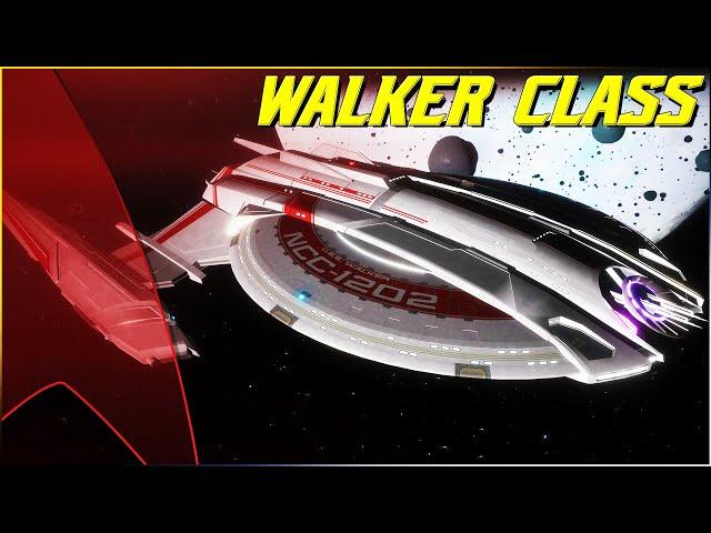 (94)The Walker Class