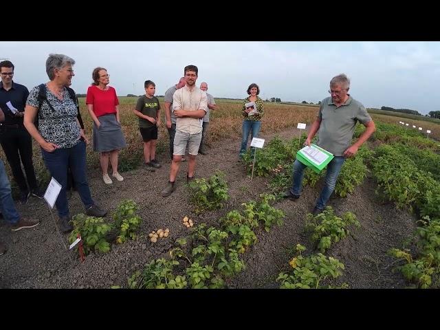 explanation robust potato varieties phytophthora organic trial August 19, 2024