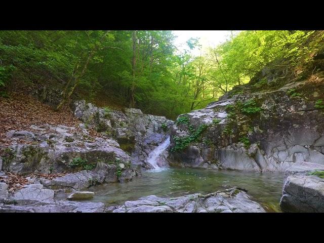 Morning Forest Sounds, Mountain Waterfall, Birds Chirping,  Nature Sounds