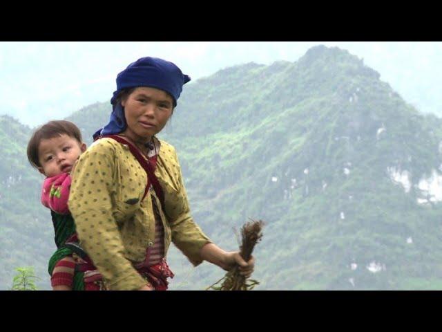 The battle for Hmong heritage in Vietnam