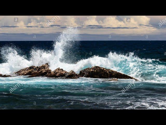 El lado Oscuro del océano | Documental completo en español | The Documentary