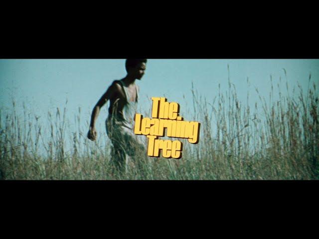 The Learning Tree (1969) - HD Trailer [1080p]