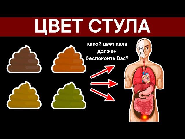 ЦВЕТ СТУЛА. Какой Цвет Кала должен беспокоить Вас?