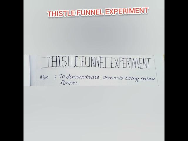 Thistle Funnel Experiment || Plus Two Botany Practical