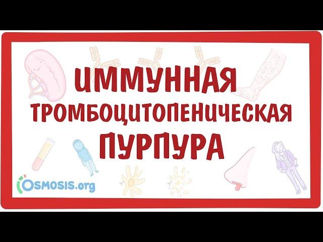 Иммунная (идиопатическая) тромбоцитопеническая пурпура (ИТП)