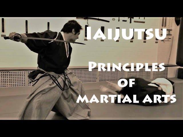 IAIJUTSU - BEST MARTIAL ARTS BY METIN KAYAR​ [Part 4 of 7]