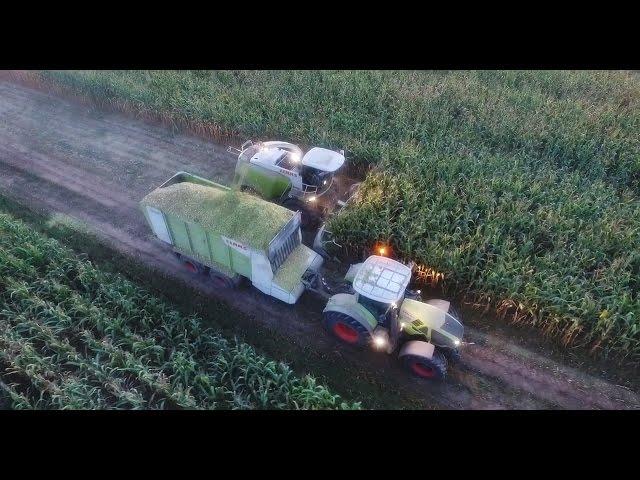 KOSZENIE WIELKIEJ KUKURYDZY 2016! | AGRO-RENT | CLAAS